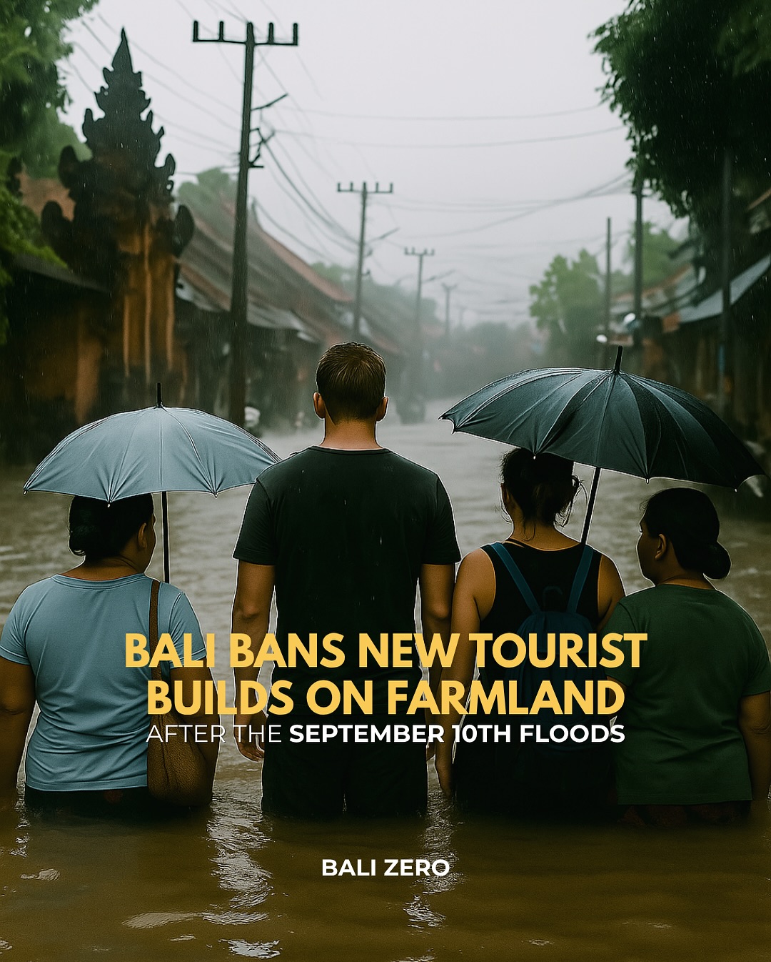 Business professionals working in modern office environment